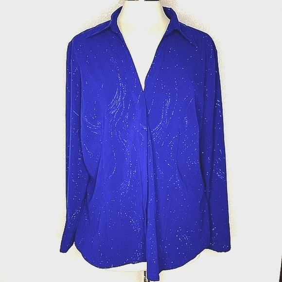 croft & barrow Tops - CROFT AND BARROW PLUS SIZE‎ 1X TOP BLUE SHIMMERY SPARKLY BLOUSE LONG SLEEVES EUC
